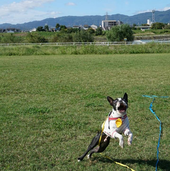 58c6b4f7 61b0 4097 90c3 00a55c90a40b