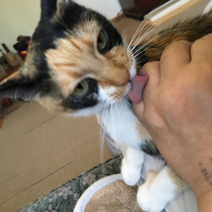 58c6da1b 41de 433e ba55 5b44f9fb98f3