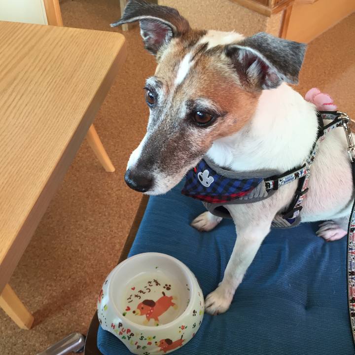 58c72d1e 29c6 4e4f 8cc8 685117a818a6