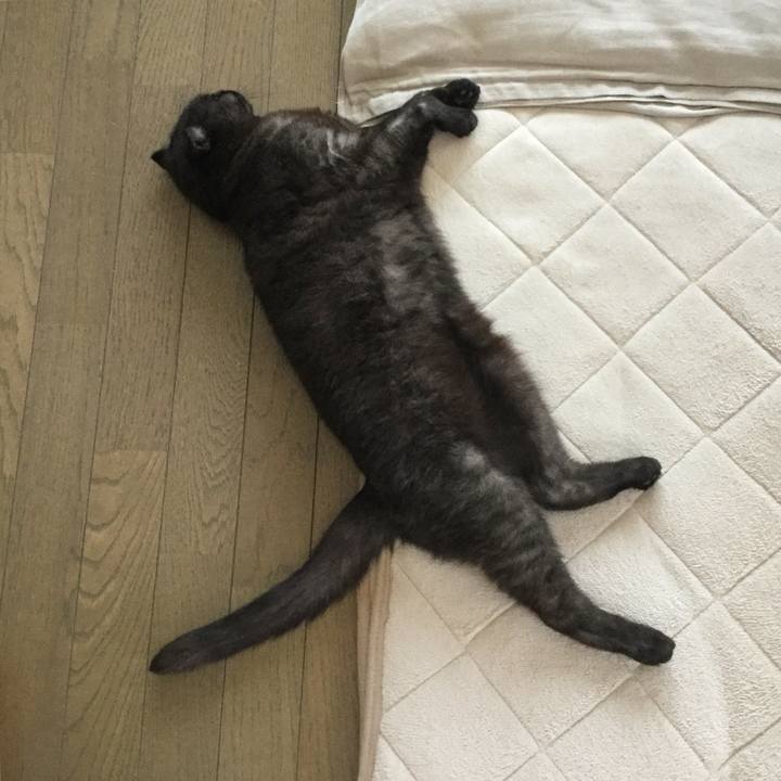 58c75ec5 39ad 4214 9a0c d0f14d875755