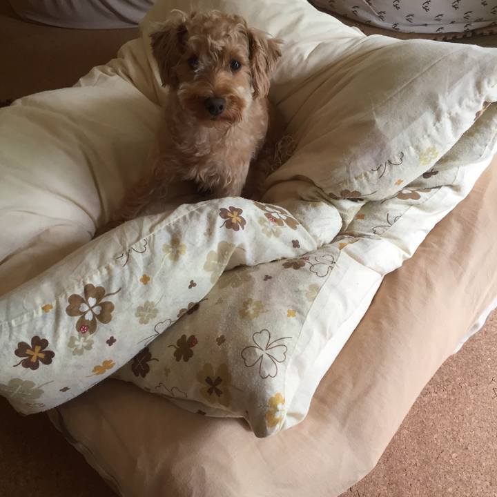 58c78b98 7d44 442d ad4b f5fbd9147ccc