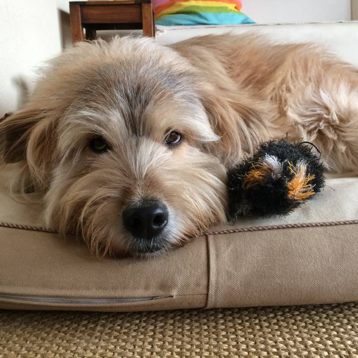 58c81219 7eb7 44f0 83db 8de4df653184