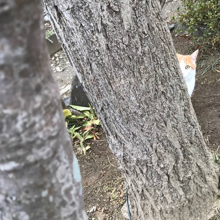 58c82d1a c4f3 478e b70f a0a92832e447