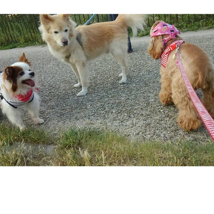 58c840bc e80d 45a2 a77c b15a1282f37d