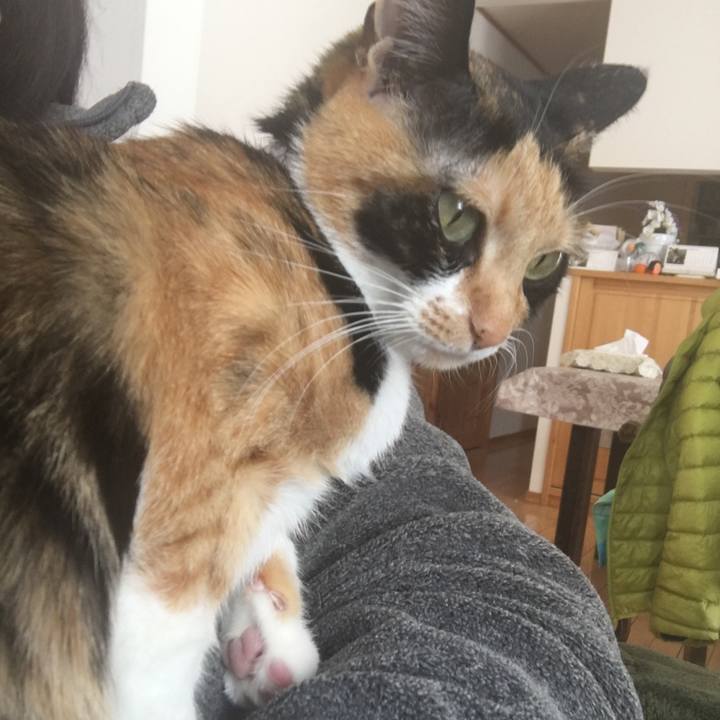 58c89254 4783 4a44 9ddd 6e2f39f5808b