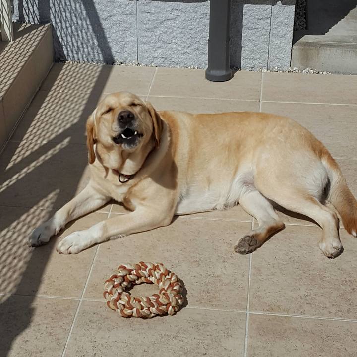 58c8c270 4524 454c aebd b78c9ea3c686