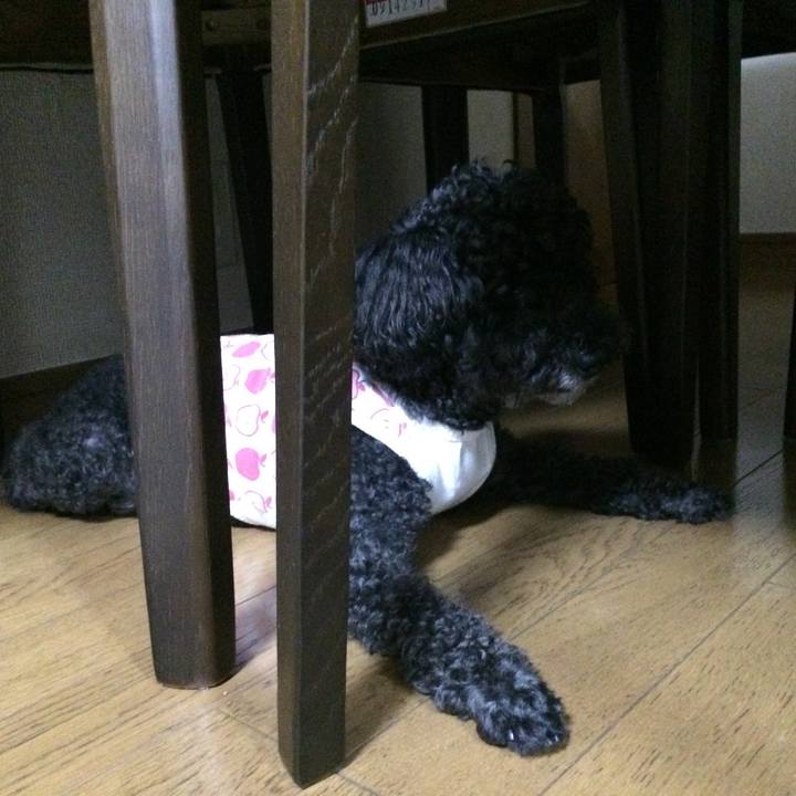 58c9a42b a377 46d0 bfcf 1bdc27fe655f