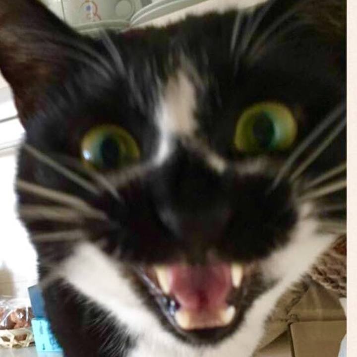 58c9f902 7119 43c5 8b74 b37648e620d2