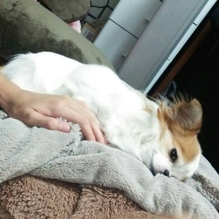 58ca1867 1c85 4435 9150 a80afd14d345