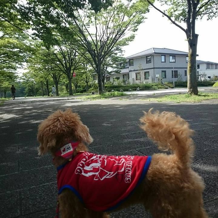 58cb806f c0df 4f7a 985f c7e264b0deb4