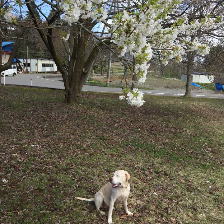 58cba9e0 eb45 48fb a10a 784918a8e8d5