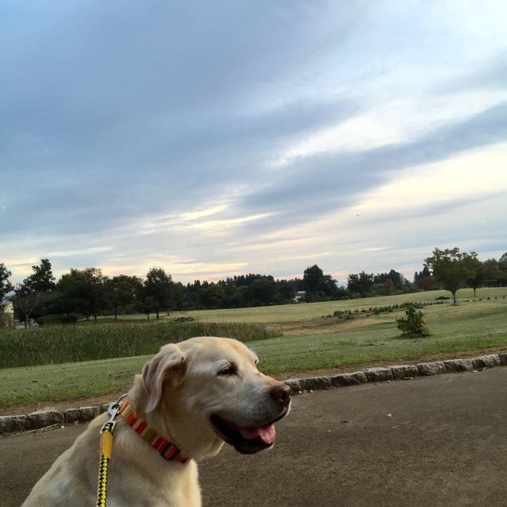 58ce8bf8 2a4b 400b bfe2 944c4674e9ec