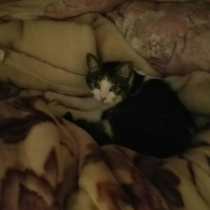 58cedf03 52a1 4996 ad21 9ca6bd805ee9