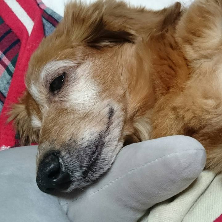 58cf99d7 1847 4273 8279 78d95e01d75d