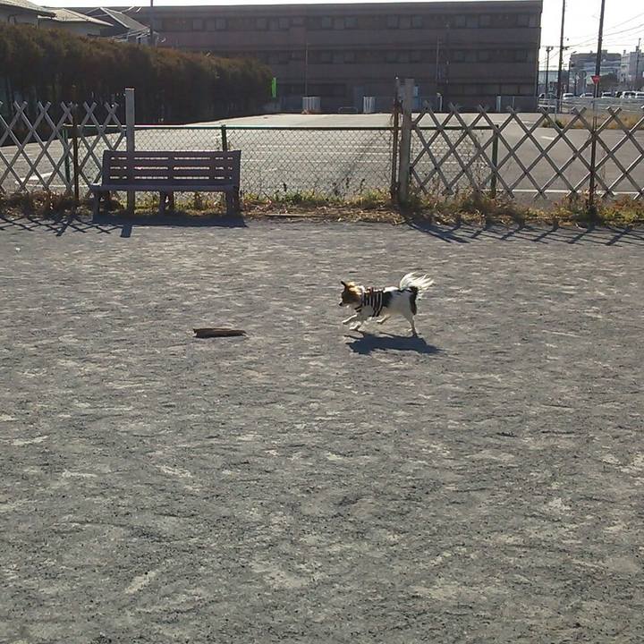 58d0459a 3883 4101 b5cc f9ffc64e76ab