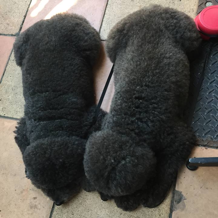 58d0c6fd 63ca 43b5 ae3d 96fa4e5a519b