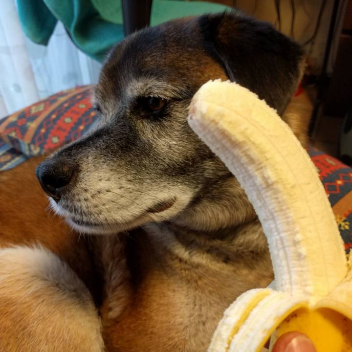 58d0e733 0cd7 4b73 8063 cf2836d9c645