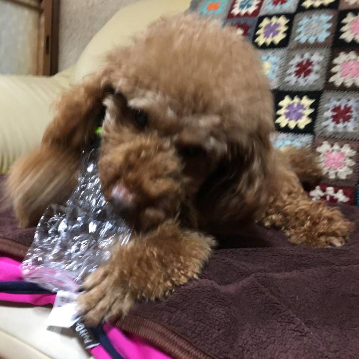 58d0f2de 6d16 4846 8f77 13f04e806069