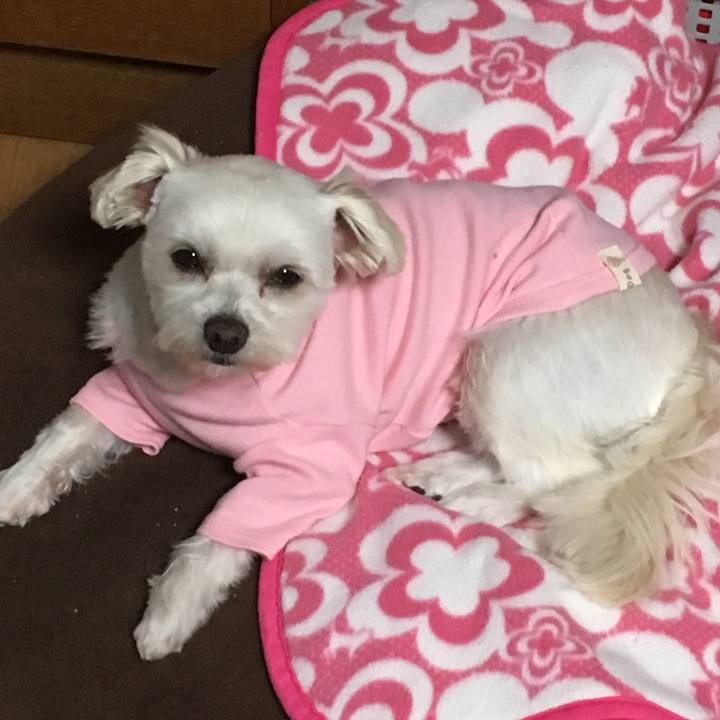 58d203a8 c19f 403d a8ce 476a1ab84643