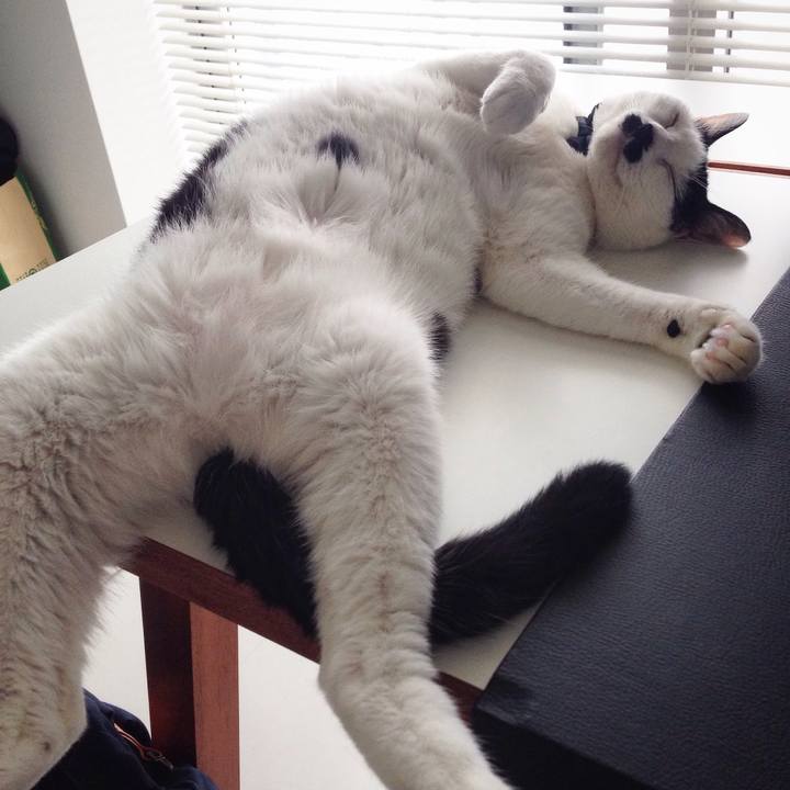 58d2211a d6e6 4101 972c a3a045d3e26c