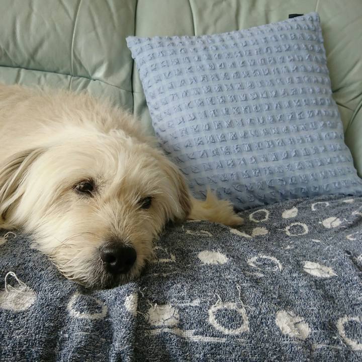 58d24a61 38e8 4ad9 9e4f d2f12d166704