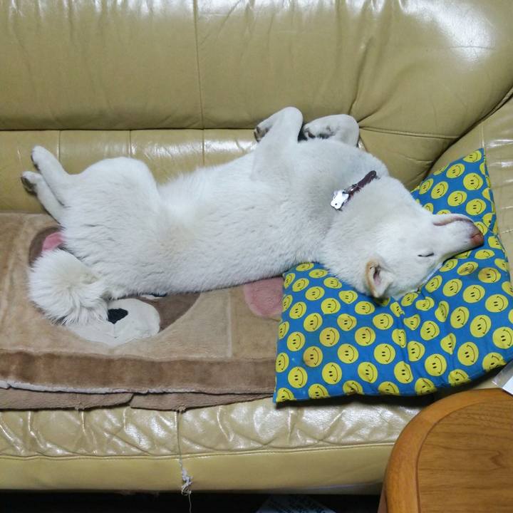 58d26f59 6ea6 449a a131 e9a2fa3d7171