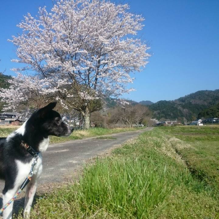 58d30ed3 bd24 4f38 98c7 9e648059e2ae