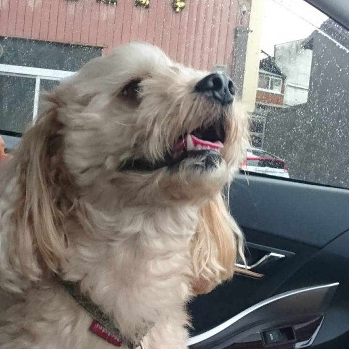 58d3e693 e116 46f8 a5c4 5b4aae153ff3