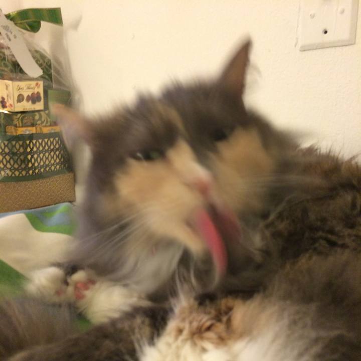 58d3e8ba b88c 4076 b7af 819a0c001339