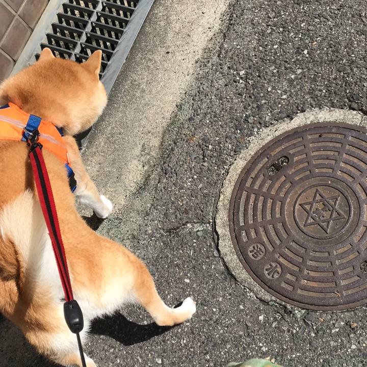 58d449cf d37a 41f3 8c14 16388f51676c