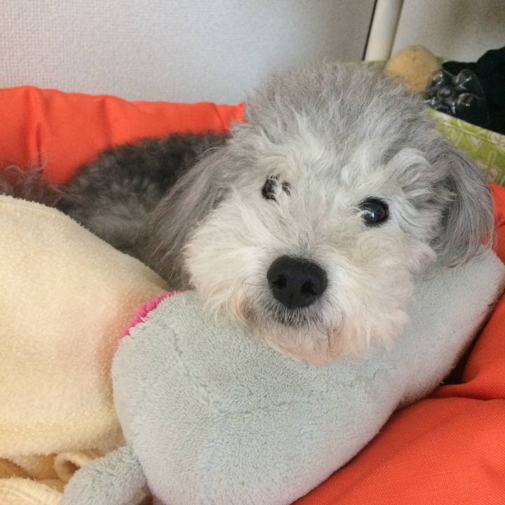 58d4582f 75a2 4c16 8524 292ff1a8b156