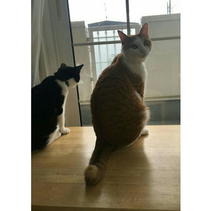 58d4a9ad 2621 4953 8c79 25265b0a9f7d