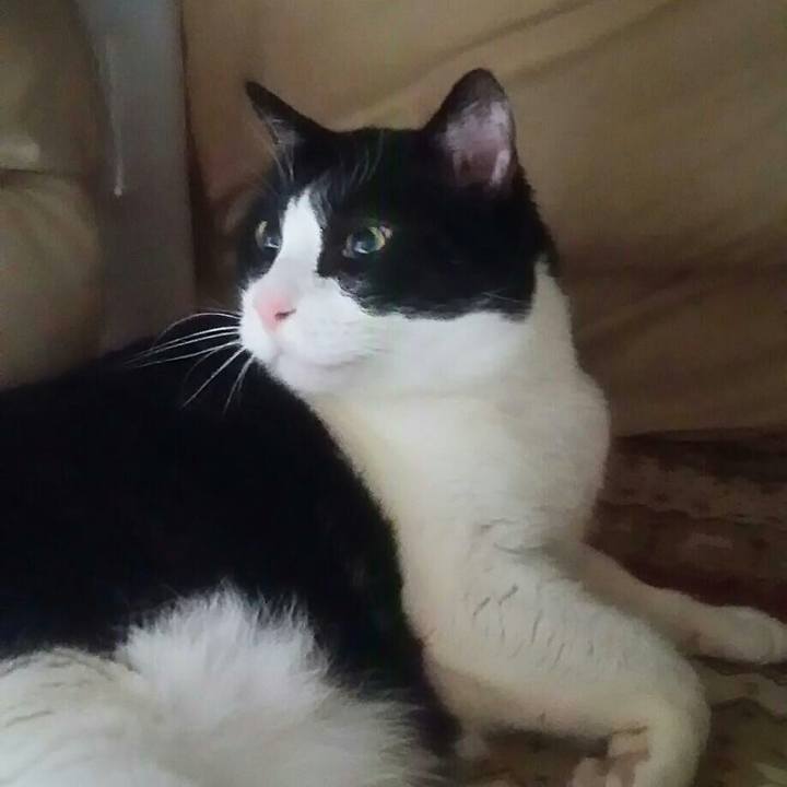 58d5cefe 3b6f 4c65 94be eadca0f8e95b