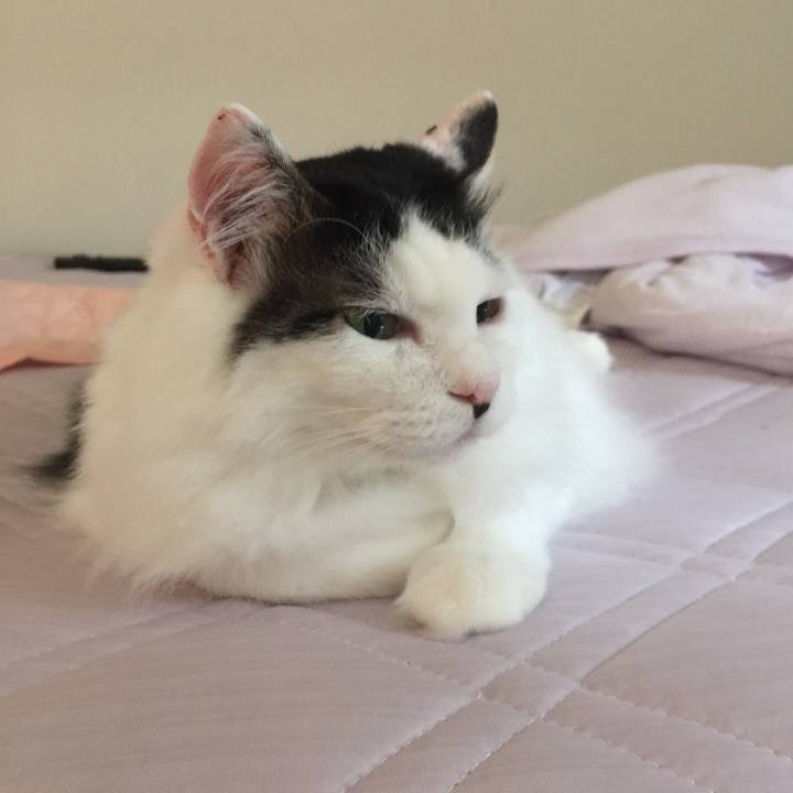 58d5fc20 8474 4d54 8cc6 1733fa470884