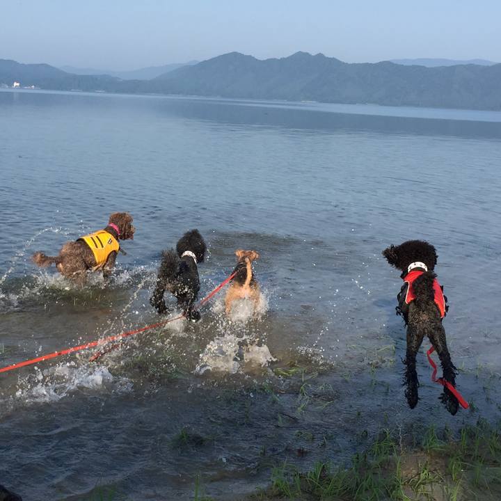 58d6b575 f909 4ea7 81b6 af0e4811644f