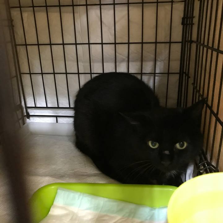 58d7c05a 63cf 47aa 9e52 5c73b8f24048