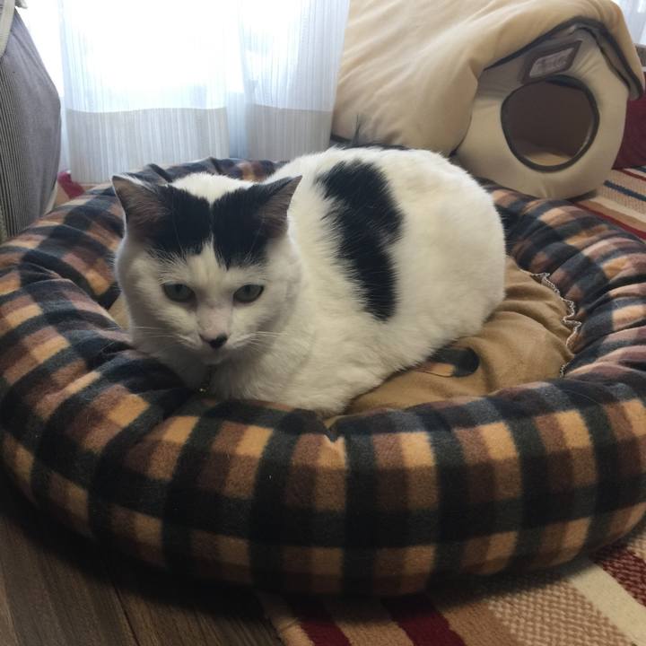 58d7e7c7 6f7f 4502 af0f 48d03cf7a6f0