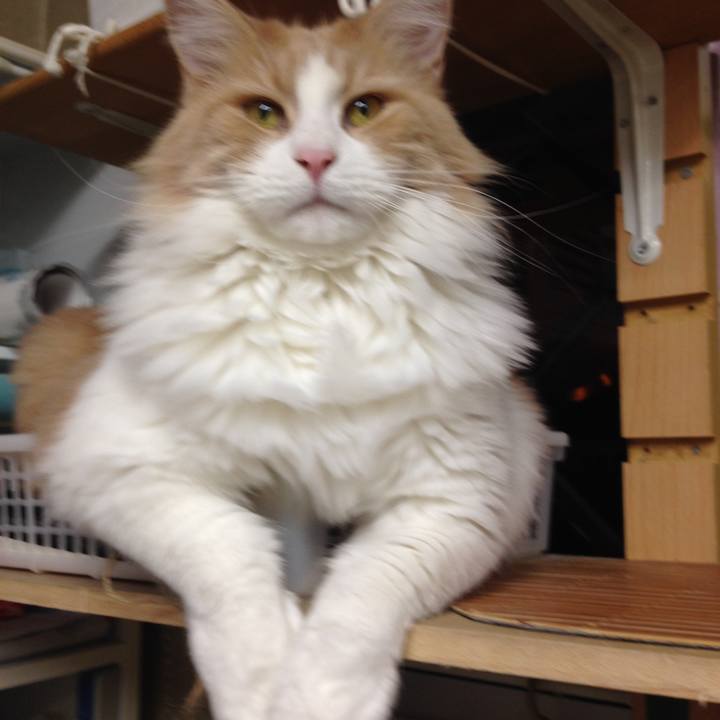 58d80792 c2a1 4289 9d32 4d6ba7815b70