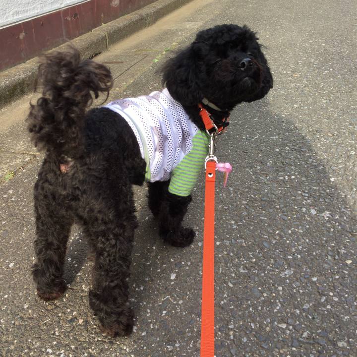 58d8201b 69a5 44f8 b15f c6c917774daa