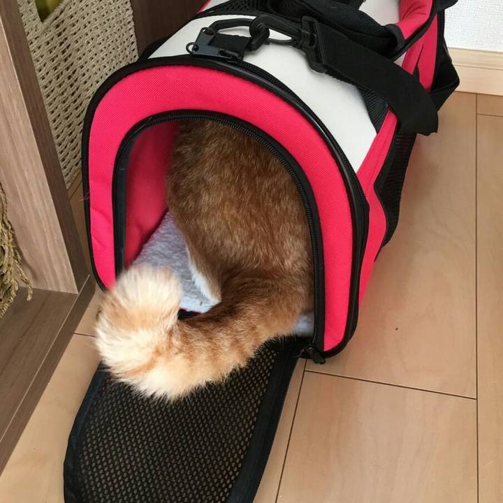 58d8b7e2 3669 40a4 a9dd 0aadd4578898