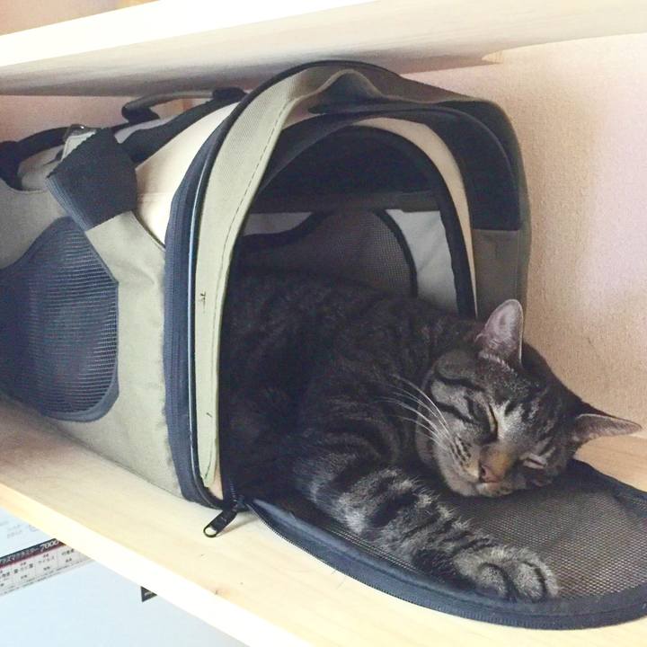 58d8e8b9 33c2 4f2f b496 4a74461a39ef