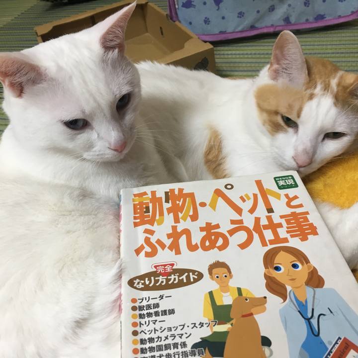 58da0f1e ec32 461e 9cbd a0ced4630c74