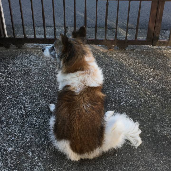 58da1a4f 8ef6 4c9f 93ad a6586daed2ea