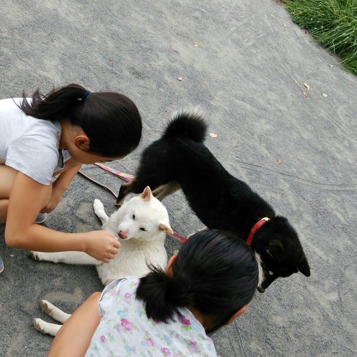 58dae4a4 aacd 402f b34d 820e927410d9