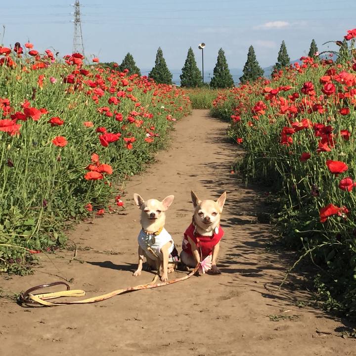 58daf817 1961 44f6 b197 4ced18aec186