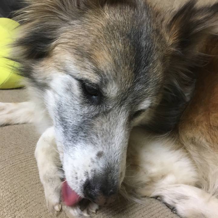 58db698a 0a9d 44d6 8a60 6dadce458bb6