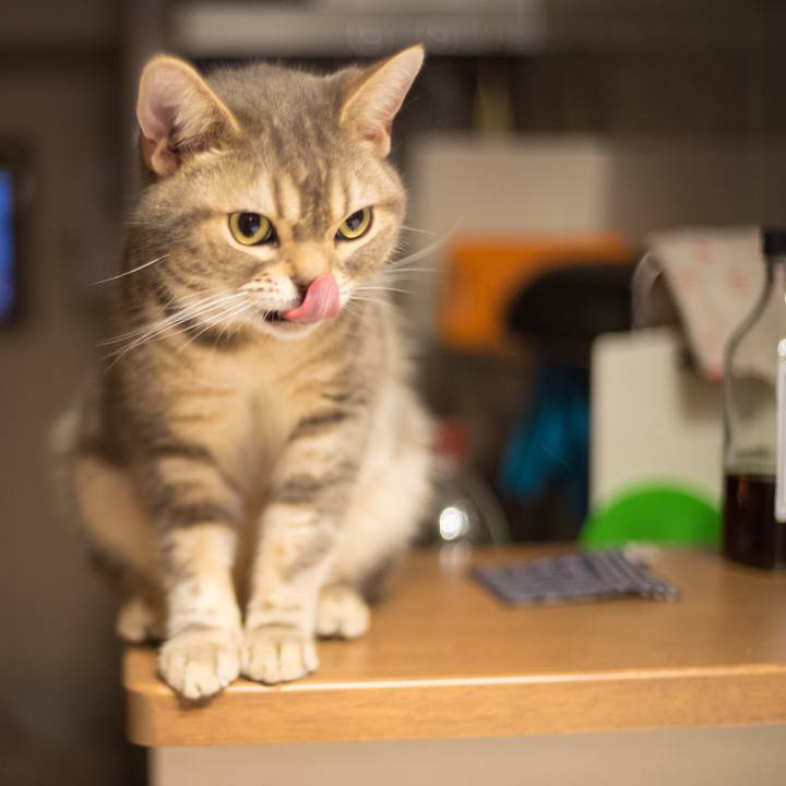 58dc125e 3d37 4de3 a251 c9acdfbf49be