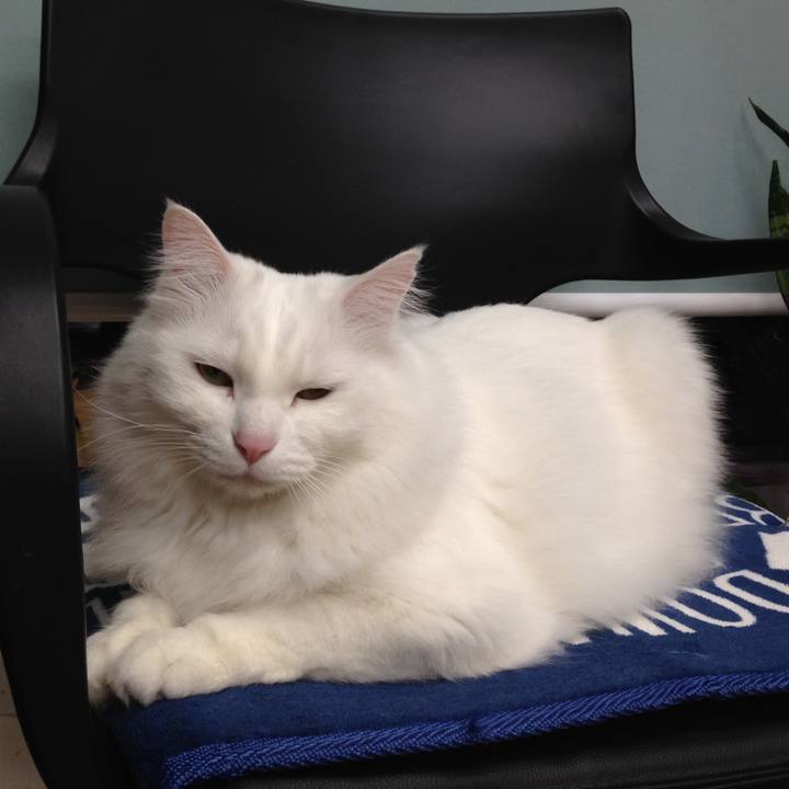 58dc73c3 9f2e 4d97 a03c 0bf2f4538697