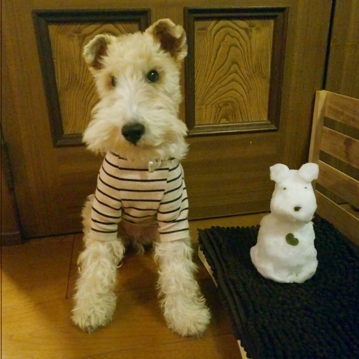 58dc8905 42eb 474d b7d6 3f39007628d1