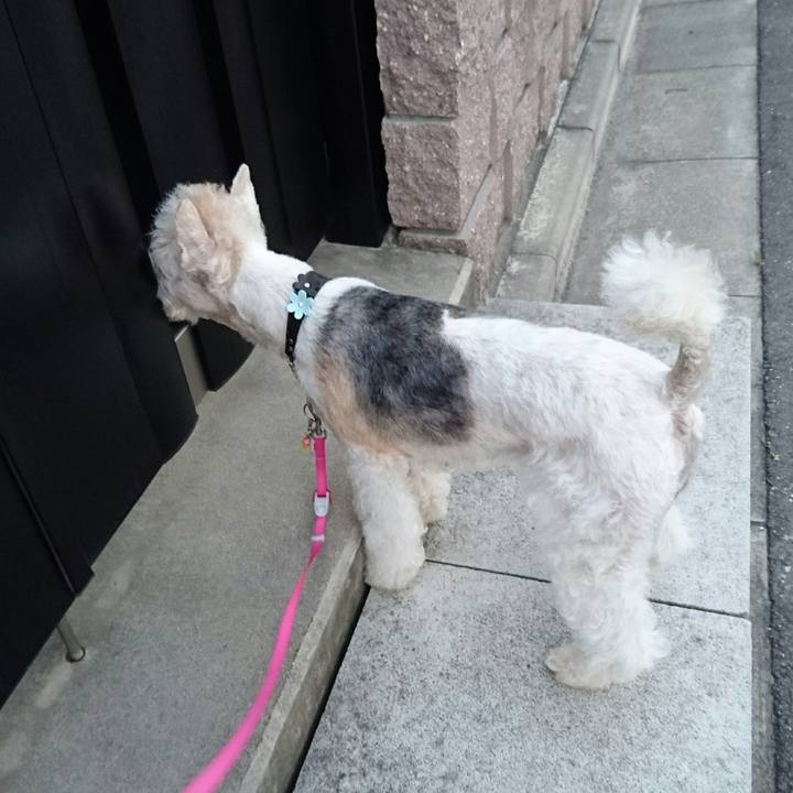 58dde3cf 4342 4c64 8198 8e04ca1147d3